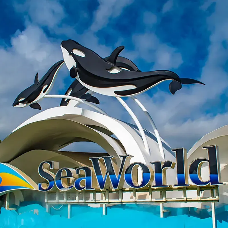 Free 2025 Seaworld Fun Cards