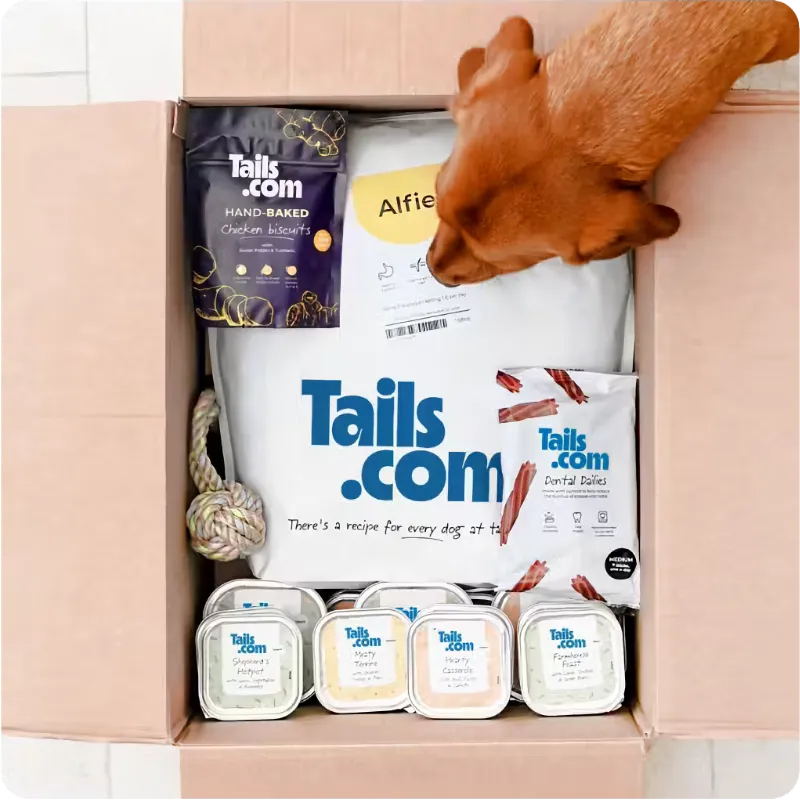 Free Tails Tailored Dog Food